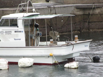 thumb_095030-yanmar-de34bf