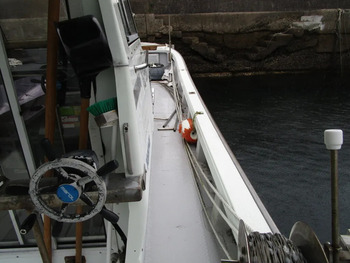 thumb_095030-yanmar-de34bf
