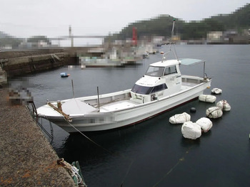 thumb_095030-yanmar-de34bf