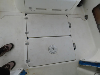 thumb_095097-nissan-wing-fisher-23