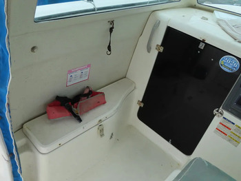 thumb_095097-nissan-wing-fisher-23