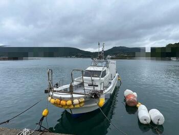 thumb_095102-yanmar-de31f