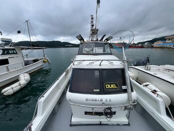 thumb_095102-yanmar-de31f
