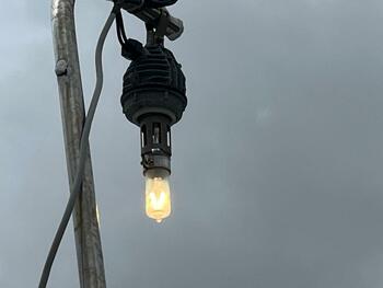 thumb_095102-yanmar-de31f