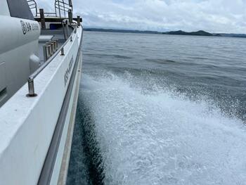 thumb_095102-yanmar-de31f