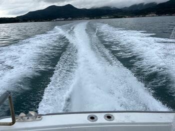 thumb_095102-yanmar-de31f