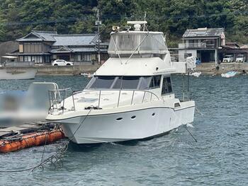 thumb_095129-yamaha-sf-51