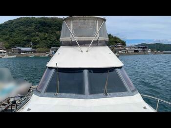 thumb_095129-yamaha-sf-51