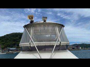 thumb_095129-yamaha-sf-51
