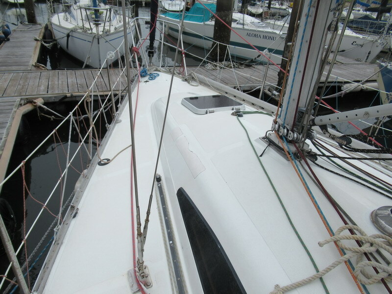 banner_095134-tsuboi-yacht-swing-34