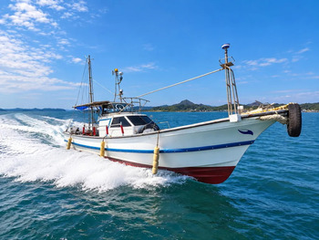 thumb_095156-yanmar-de31f