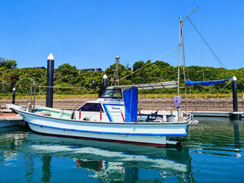 thumb_095156-yanmar-de31f