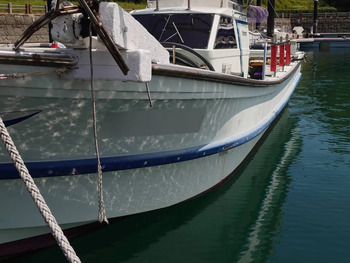 thumb_095156-yanmar-de31f