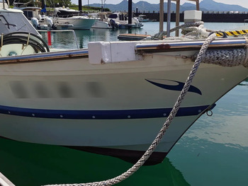 thumb_095156-yanmar-de31f