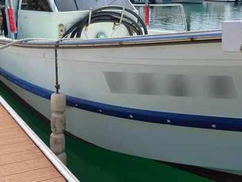 thumb_095156-yanmar-de31f