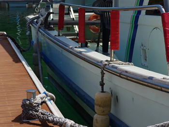 thumb_095156-yanmar-de31f