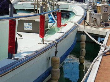 thumb_095156-yanmar-de31f