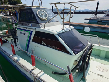 thumb_095156-yanmar-de31f