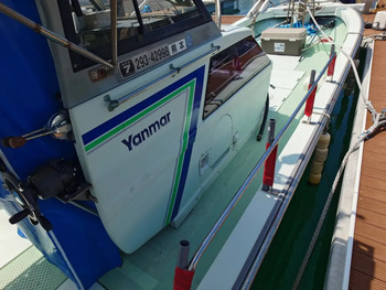 thumb_095156-yanmar-de31f