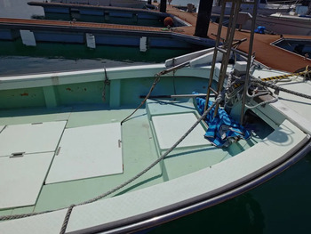 thumb_095156-yanmar-de31f