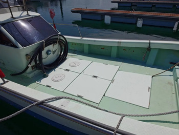 thumb_095156-yanmar-de31f
