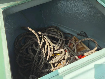 thumb_095156-yanmar-de31f