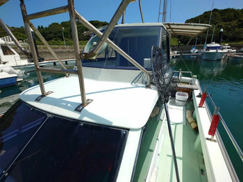 thumb_095156-yanmar-de31f
