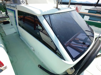 thumb_095156-yanmar-de31f