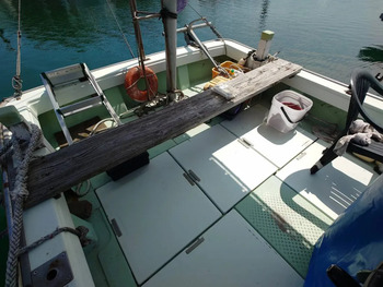 thumb_095156-yanmar-de31f