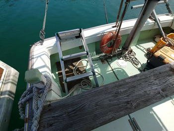 thumb_095156-yanmar-de31f