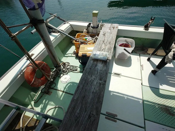 thumb_095156-yanmar-de31f