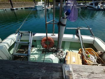 thumb_095156-yanmar-de31f