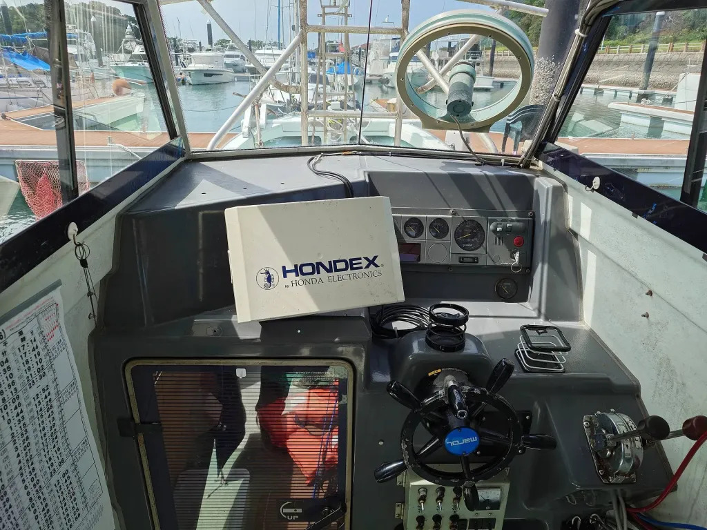 banner_095156-yanmar-de31f