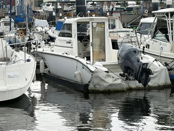 thumb_095157-yamaha-yf-23ex