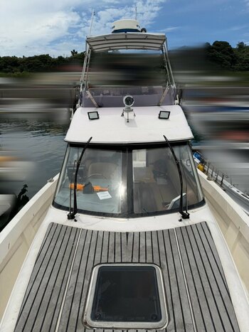 thumb_095171-yamaha-sf-31