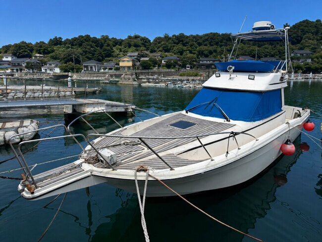 medium_095171-yamaha-sf-31