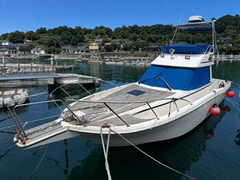 thumb_095171-yamaha-sf-31