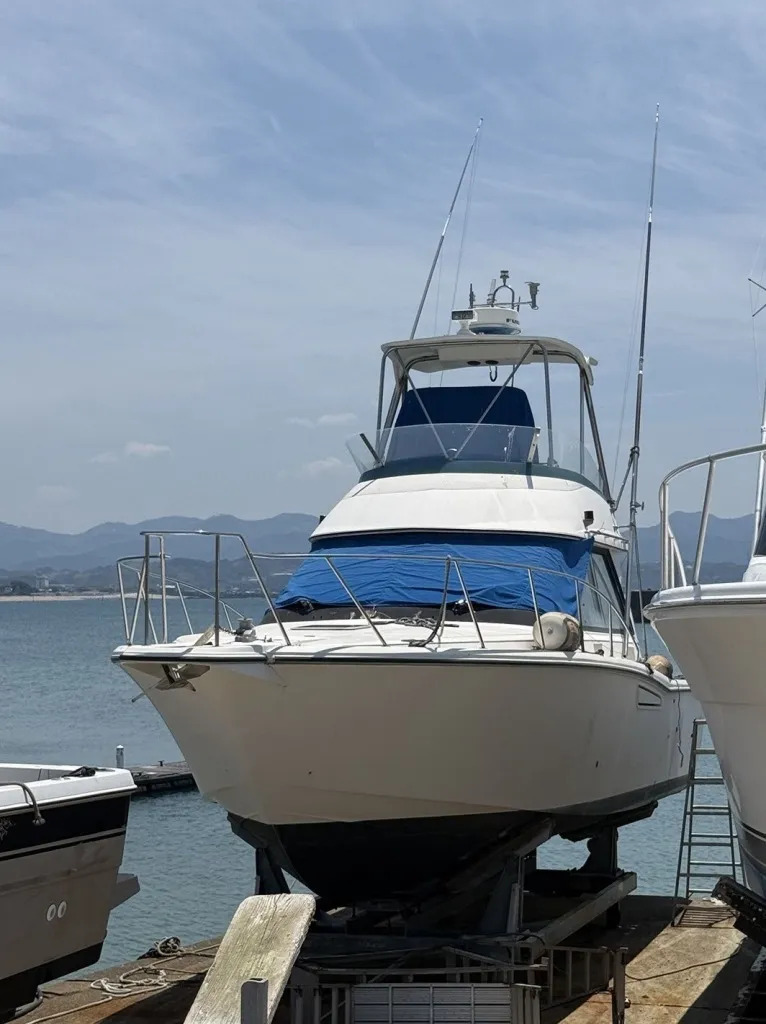 banner_095177-yamaha-sf-35