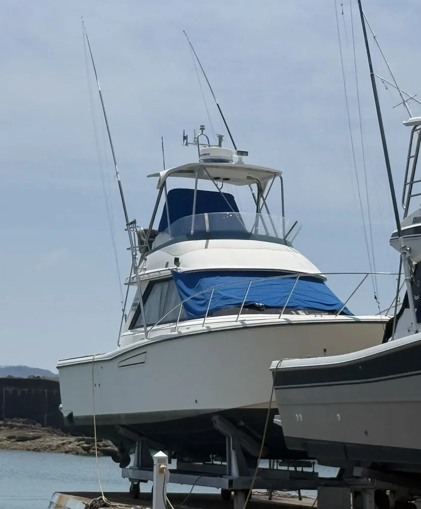 banner_095177-yamaha-sf-35