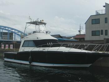 thumb_095179-yamaha-sf-38