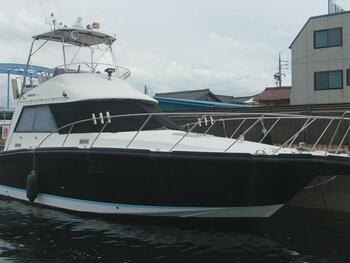thumb_095179-yamaha-sf-38