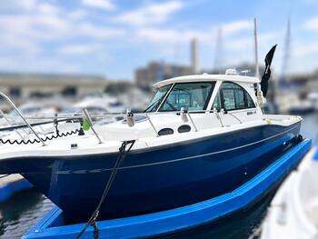 thumb_095180-yamaha-fr-32-ex