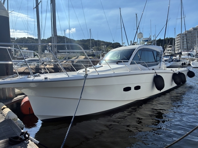 medium_095264-yanmar-ex38