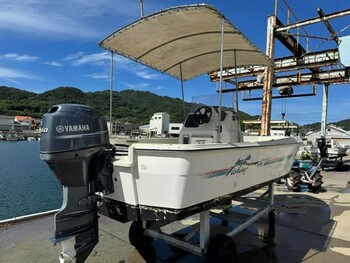 thumb_094064-yamaha-fw-20