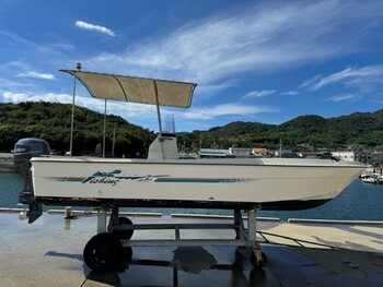 thumb_094064-yamaha-fw-20