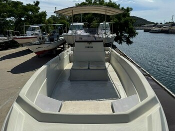 thumb_094064-yamaha-fw-20