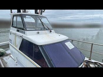 thumb_095289-yanmar-zd43