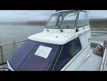 thumb_095289-yanmar-zd43