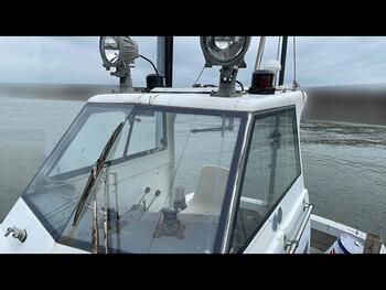 thumb_095289-yanmar-zd43
