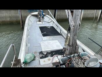 thumb_095289-yanmar-zd43
